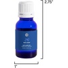 image:imageCapri Blue Diffuser Oil Refill  Premium Fragrance Oil  Use with Electric or Ultrasonic Diffusers for Home  Long Lasting Sugared Citrus Scent Volcano 05 fl ozBlue Jean