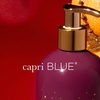 image:imageCapri Blue Large Moisturizing Hand Wash Soap  Liquid Hand Soap with Pump Bottle  Gentle amp Hydrating Skin Care  Notes of Crisp Apple Cinnamon amp Juicy Pear Apple Cider Social 118 fl ozTinsel  Spice