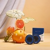image:imageCapri Blue Pura Car Diffuser Refills  Includes 2 Car Air Freshener Pura Scent Diffusers  Long Lasting Air Freshener  Refills Only  Notes of Sugared Citrus amp Tropical Fruits Volcano 2 PackVolcano