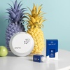 image:imageCapri Blue Pura Smart Home Plugin Diffuser Refills  Includes 2 Capri Blue Pura Refills for Plug In Diffusers for Home  Long Lasting Luxury Scents  Holiday Volcano Pack of 2Pineapple Flower