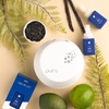 image:imageCapri Blue Pura Smart Home Plugin Diffuser Refills  Includes 2 Capri Blue Pura Refills for Plug In Diffusers for Home  Long Lasting Luxury Scents  Holiday Volcano Pack of 2Havana Vanilla