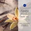 image:imageCapri Blue Pura Smart Home Plugin Diffuser Refills  Includes 2 Capri Blue Pura Refills for Plug In Diffusers for Home  Long Lasting Luxury Scents  Holiday Volcano Pack of 2Havana Vanilla