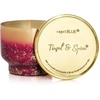 image:imageCapri Blue Scented Candles  Glimmer Collection  Ombre Glass Candle Holder  Luxury Apple Candles for Women amp Men  Signature Jar in Cranberry Red and Gold Apple Cider Social 19 ozTinsel  Spice