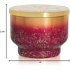 image:imageCapri Blue Scented Candles  Glimmer Collection  Ombre Glass Candle Holder  Luxury Apple Candles for Women amp Men  Signature Jar in Cranberry Red and Gold Apple Cider Social 19 ozTinsel  Spice