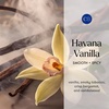 image:imageCapri Blue Volcano Reed Diffuser Set Includes Reeds Fragrance Oil and Glass Bottle for Home Dcor Room Fresheners White 8 Fl Ozvanilla  smoky tobacco  bergamot  and sandalwood