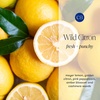 image:imageCapri Blue Pura Smart Home Plugin Diffuser Refills  Includes 2 Capri Blue Pura Refills for Plug in Diffusers for Home  Long Lasting Luxury Scents  Wild Citron Pack of 2Wild Citron