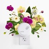 image:imageCapri Blue Pura Smart Home Plugin Diffuser Refills  Includes 2 Capri Blue Pura Refills for Plug in Diffusers for Home  Long Lasting Luxury Scents  Wild Citron Pack of 2Aloha Orchid