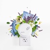 image:imageCapri Blue Pura Smart Home Plugin Diffuser Refills  Includes 2 Capri Blue Pura Refills for Plug in Diffusers for Home  Long Lasting Luxury Scents  Wild Citron Pack of 2Blue Jean