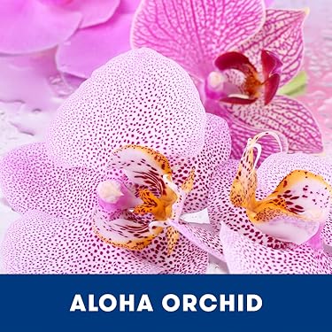 Capri Blue | Fragrance For Daily Joy – Volcano Signature Scent Full Home Lifestyle Line